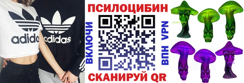 Купить закладки  Урюпинск  Галлюциногенные грибы GOLDEN TEACHER 