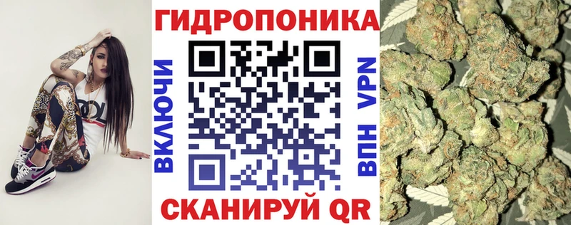 Канабис Amnesia  Купить  Урюпинск 